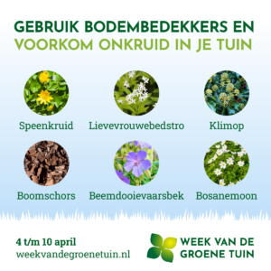 groene-tuin